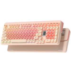 Womier WK98 98% Mechanical Gaming Keyboard With Multimedia Screen