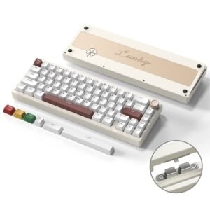 Womier SK65 65% Gasket Mounted Wireless Aluminum Keyboard with Knob (4 Colors)