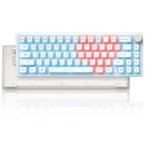 Womier Q61 V2 VIA Support 65% Wireless Mechanical Keyboard with Knob - Image 5