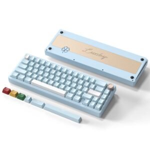 Womier SK65 65% Gasket Mounted Wireless Aluminum Keyboard with Knob (4 Colors) - Image 4