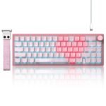 Womier VK66 Pro VIA Support 66-Key Gasket Mechanical Keyboard with Knob